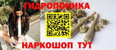 гашик Кунгур