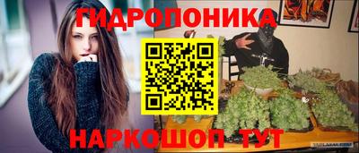 гашик Кунгур