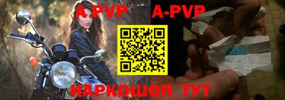 гашик Кунгур