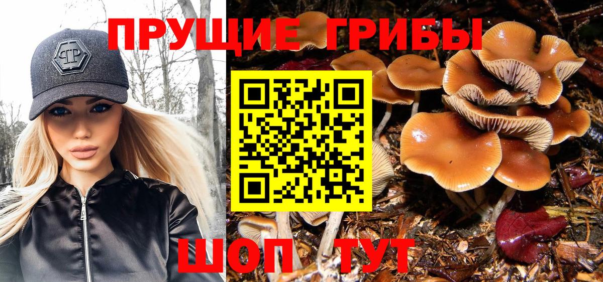 Псилоцибиновые грибы мицелий  Вход с VPN  Якутск 